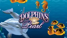 Dolphins Pearl Classic 